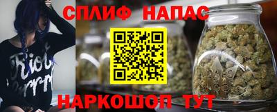 шишки Пушкино