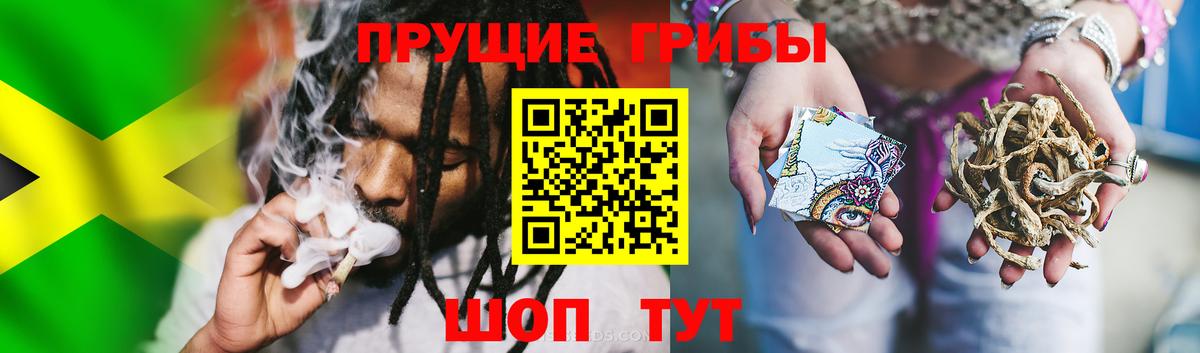 Светлоград  Галлюциногенные грибы Cubensis  Вход с VPN  Галлюциногенные грибы прущие грибы 